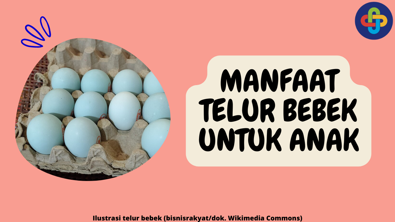 8 Manfaat Telur Bebek dalam Pertumbuhan Anak