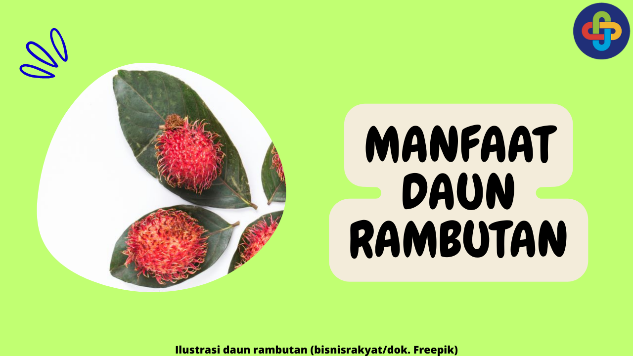 8 Manfaat Daun Rambutan untuk Kesehatan yang Perlu Kamu Tahu