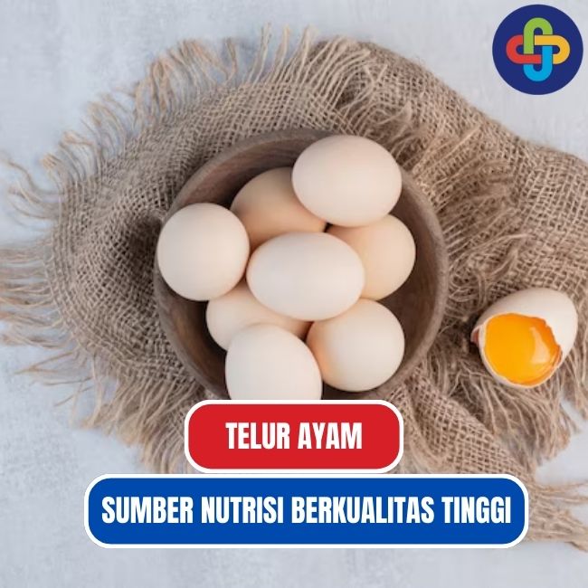 Telur Ayam: Sumber Nutrisi Berkualitas Tinggi untuk Kesehatan